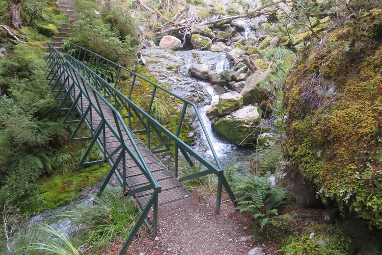 the Kepler Track New Zealand