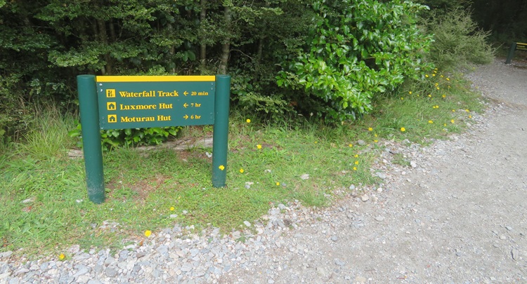 On the way to the Iris Burn Waterfall, Kepler Track, New Zealand