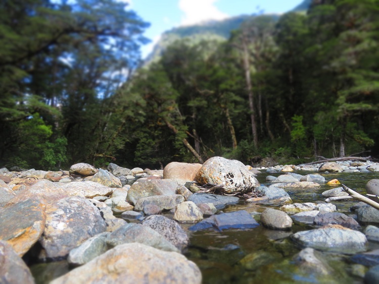 On the way to the Iris Burn Waterfall, Kepler Track, New Zealand