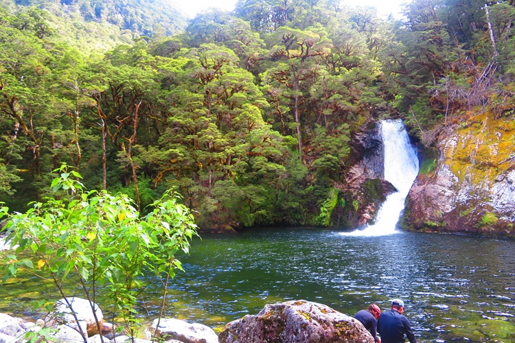 On the way to the Iris Burn Waterfall, Kepler Track, New Zealand