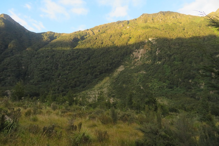 Early morning light on the Kepler Track, New Zealand