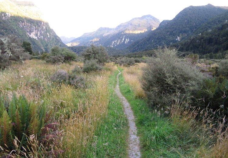 Early morning light on the Kepler Track, New Zealand