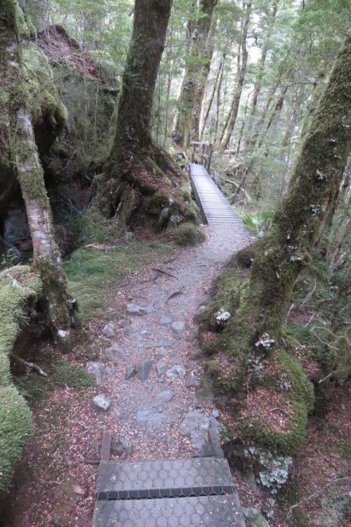 Early morning light on the Kepler Track, New Zealand