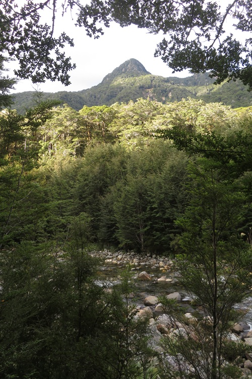 Early morning light on the Kepler Track, New Zealand