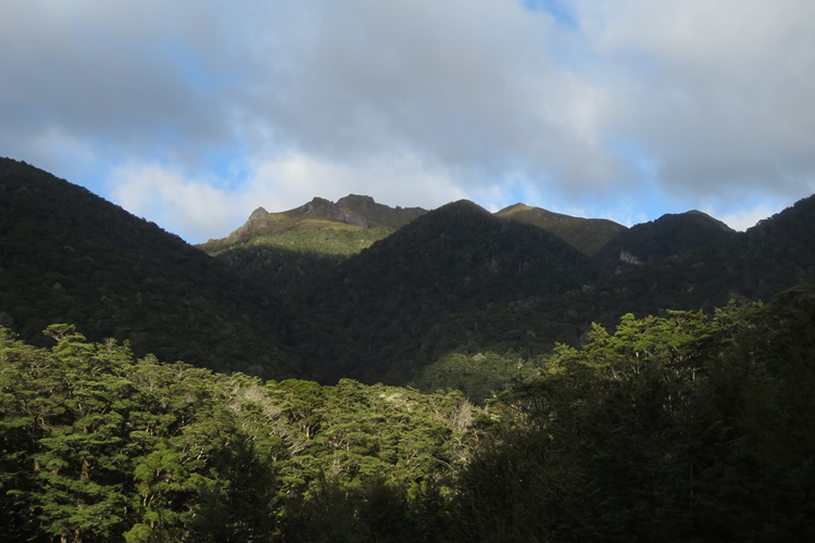 Early morning light on the Kepler Track, New Zealand