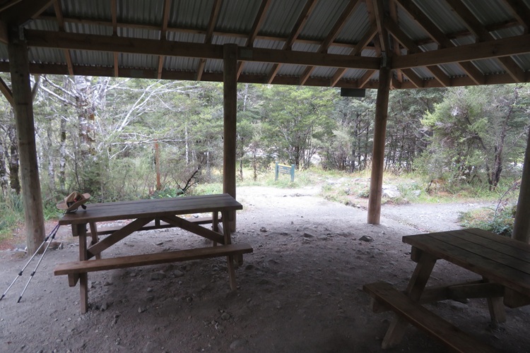 Early morning light on the Kepler Track, New Zealand