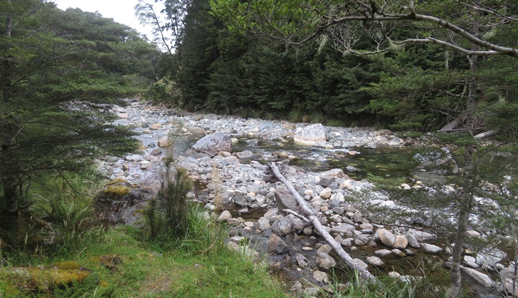 Early morning light on the Kepler Track, New Zealand
