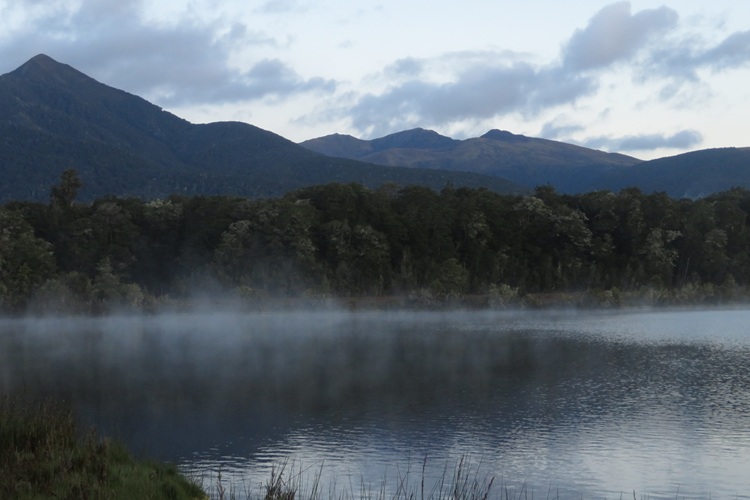 Walking through the beech forest on the Kepler Track, New Zealand