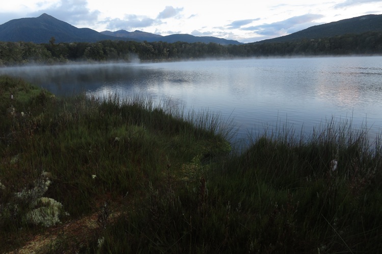 Walking through the beech forest on the Kepler Track, New Zealand