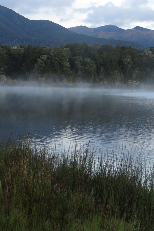 Walking through the beech forest on the Kepler Track, New Zealand