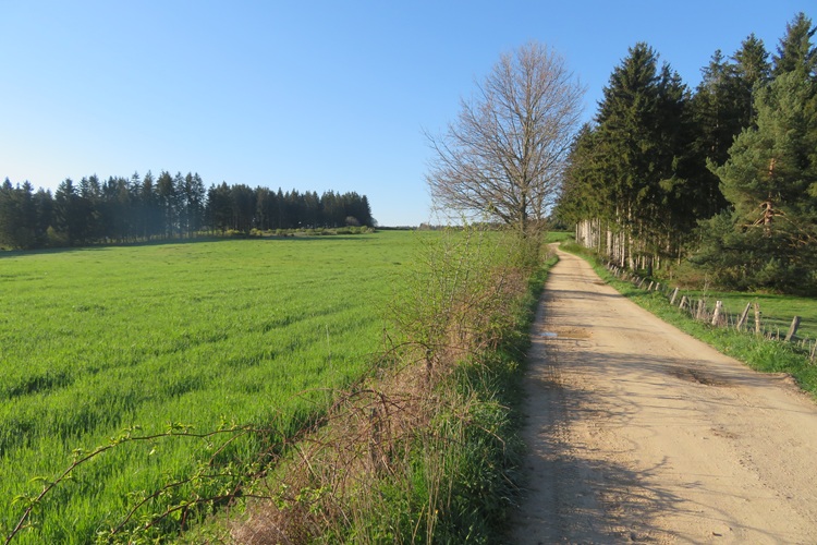 A wide open road on the Chemin de Saint Jacques