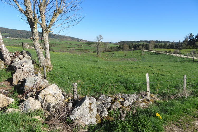 Views from the Chemin de Saint Jacques