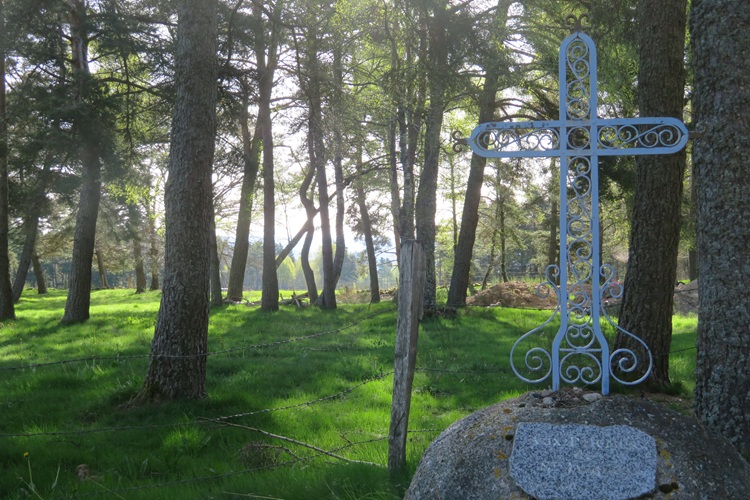Early morning light on the Chemin de Saint Jacques