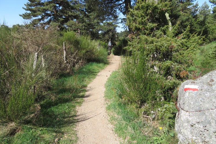 Views from the trail, Camino via Podiensis