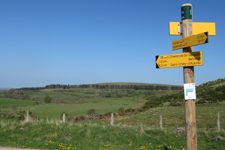 Which way to go? On the Chemin de Saint Jacques