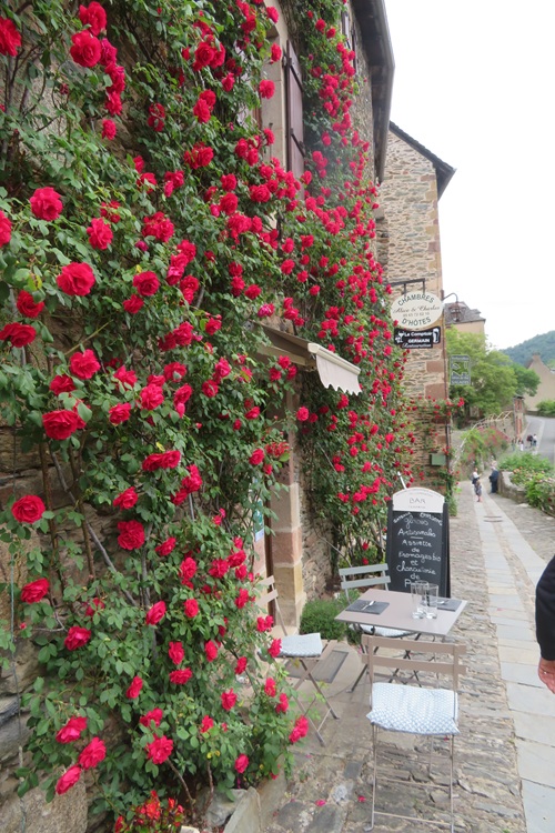Climbing roses in Conques, Camino via Podiensis