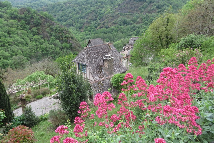 Spring blooms along the Chemin de St Jacques in France