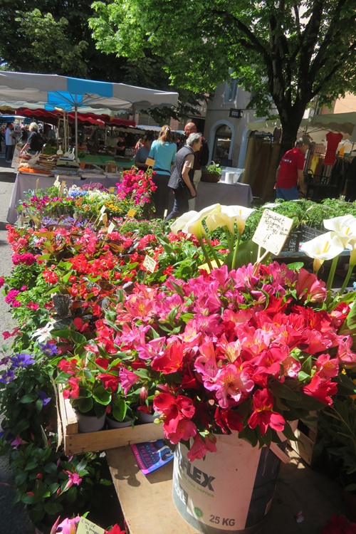 Spring blooms along the Chemin de St Jacques in France