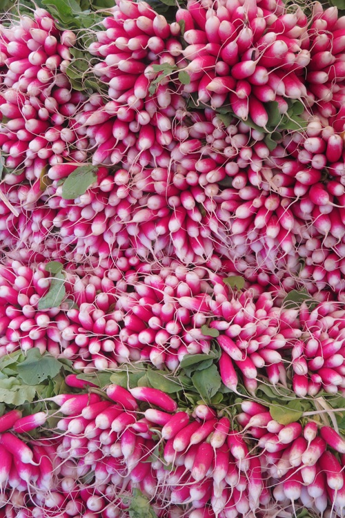 Bayonne's Farmers market, southern France