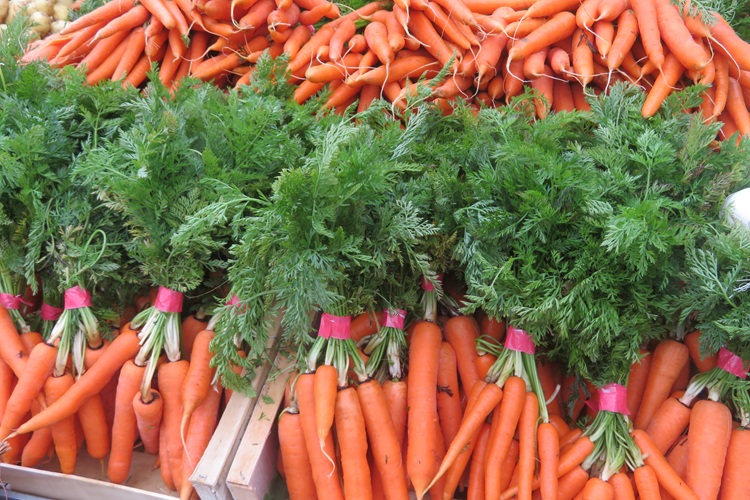 Bayonne's Farmers market, southern France