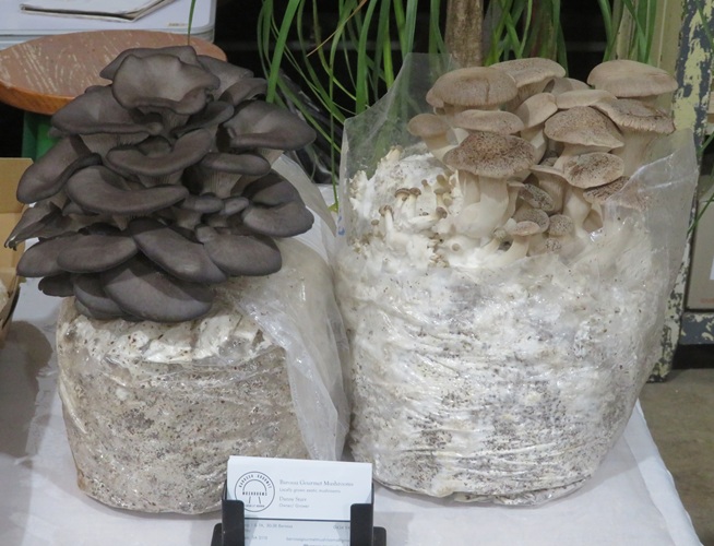 Barossa Farmers Market, South Australia