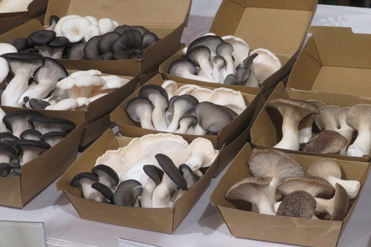 Barossa Farmers Market, South Australia