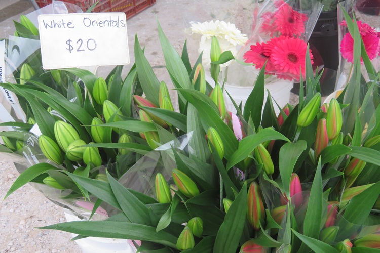 Barossa Farmers Market, South Australia