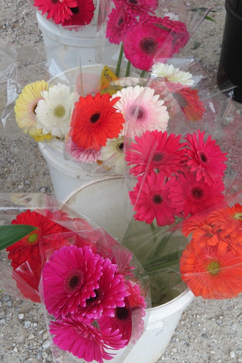 Barossa Farmers Market, South Australia