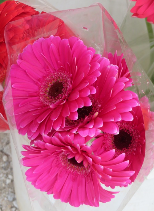 Barossa Farmers Market, South Australia