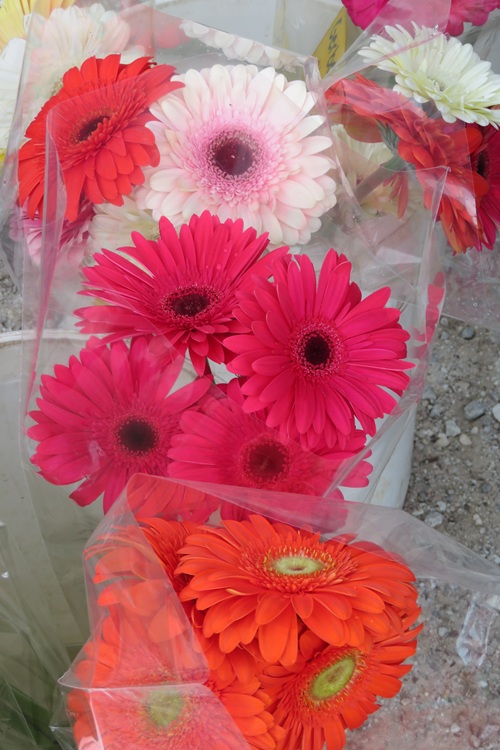Barossa Farmers Market, South Australia