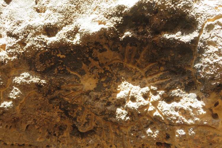 The Ngaut Ngaut Conservation Area on the Murray River, South Australia