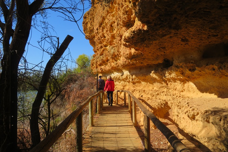 The Ngaut Ngaut Conservation Area on the Murray River, South Australia