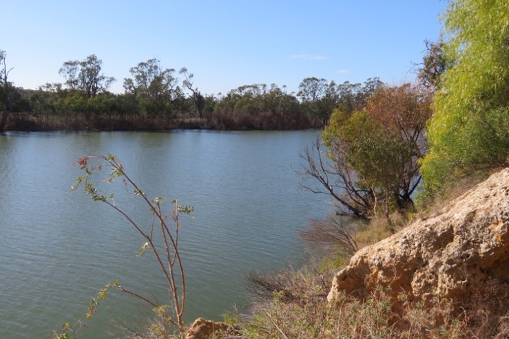 The Ngaut Ngaut Conservation Area on the Murray River, South Australia