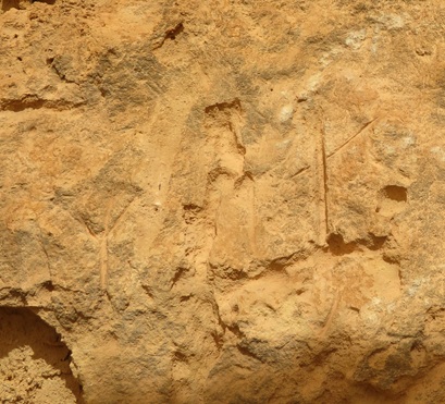The Ngaut Ngaut Conservation Area on the Murray River, South Australia