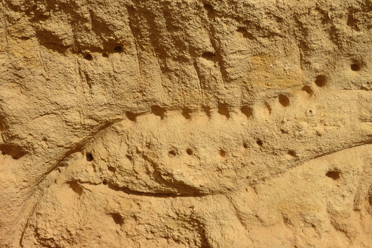The Ngaut Ngaut Conservation Area on the Murray River, South Australia