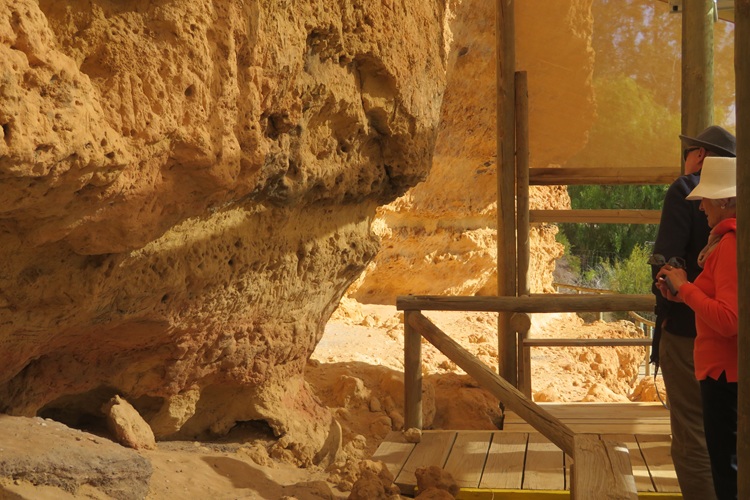 The Ngaut Ngaut Conservation Area on the Murray River, South Australia