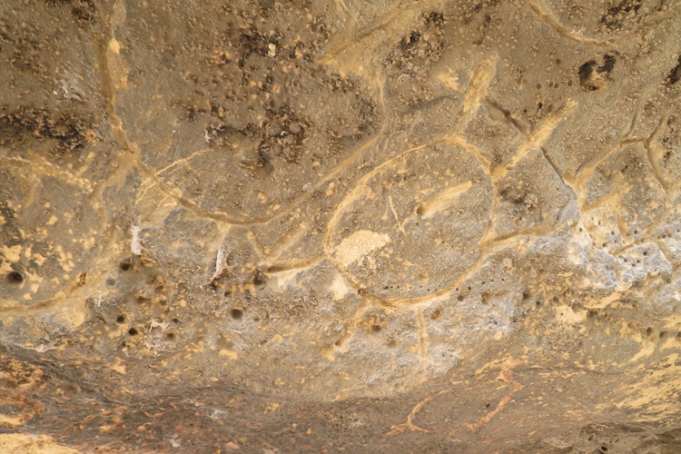 The Ngaut Ngaut Conservation Area on the Murray River, South Australia