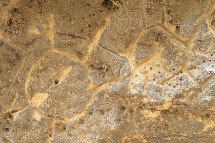 The Ngaut Ngaut Conservation Area on the Murray River, South Australia