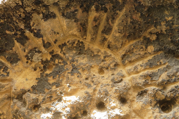 The Ngaut Ngaut Conservation Area on the Murray River, South Australia