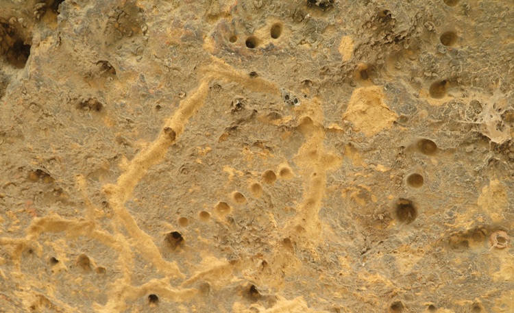 The Ngaut Ngaut Conservation Area on the Murray River, South Australia
