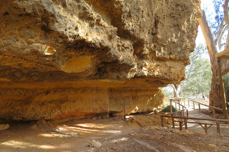 The Ngaut Ngaut Conservation Area on the Murray River, South Australia