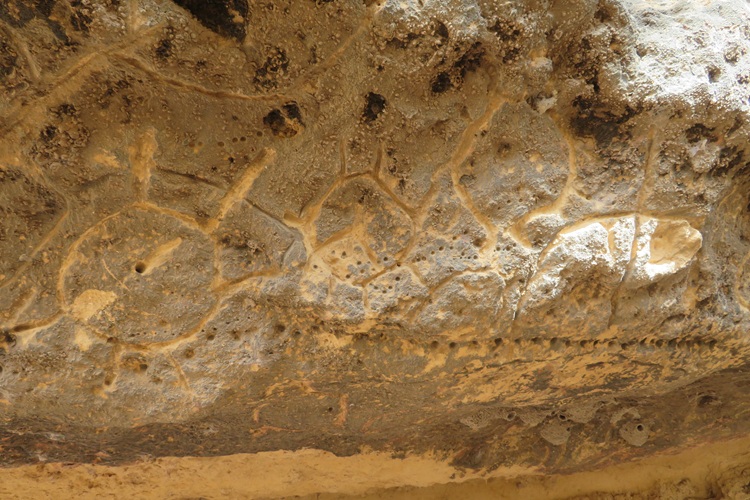 The Ngaut Ngaut Conservation Area on the Murray River, South Australia