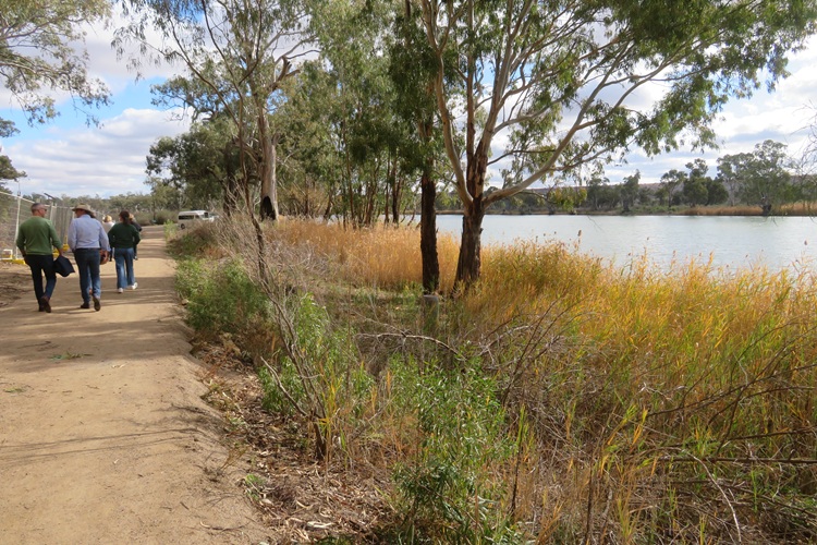 The Ngaut Ngaut Conservation Area on the Murray River, South Australia