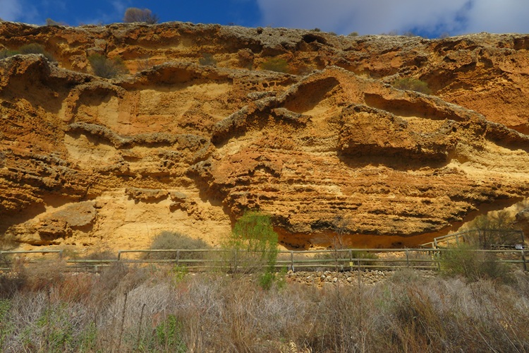 The Ngaut Ngaut Conservation Area on the Murray River, South Australia