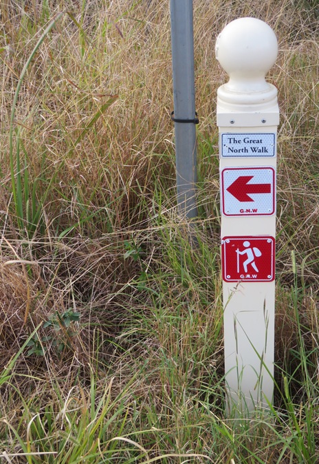 Great North Walk from Cowan to Brooklyn, East Coast Australia