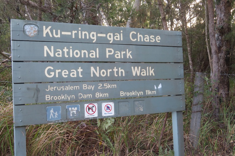 Great North Walk from Cowan to Brooklyn, East Coast Australia