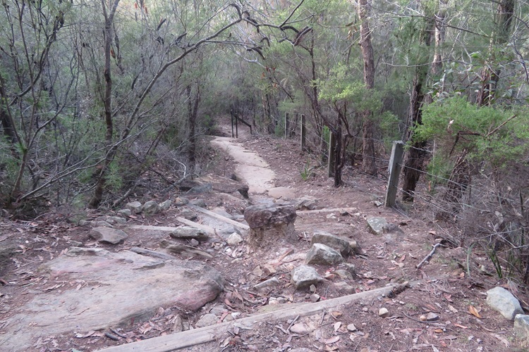 Great North Walk from Cowan to Brooklyn, East Coast Australia