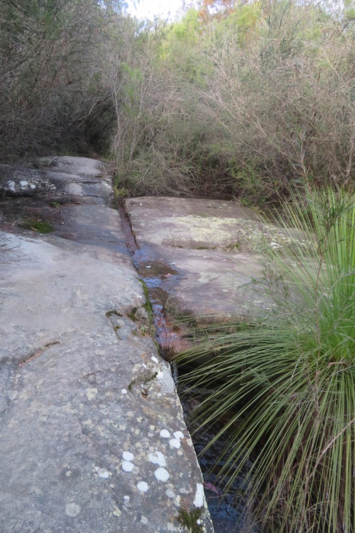 Great North Walk from Cowan to Brooklyn, East Coast Australia