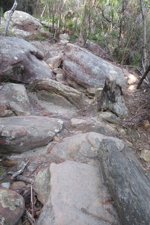 Great North Walk from Cowan to Brooklyn, East Coast Australia