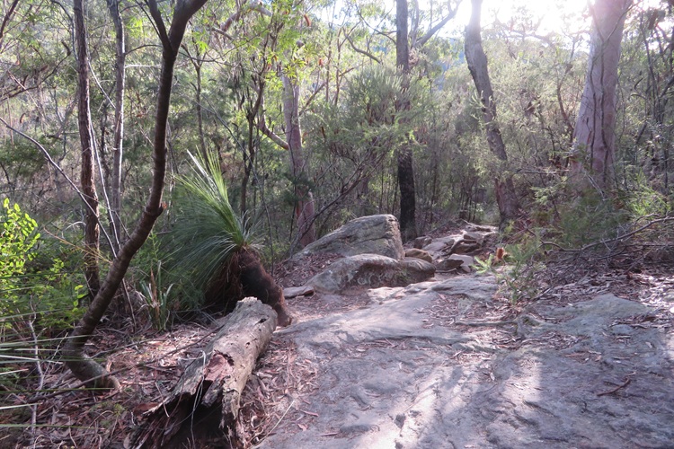 Great North Walk from Cowan to Brooklyn, East Coast Australia